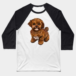 Cavapoochon Cavapoo Cavoodle - Lucky the cute  cavalier King Charles spaniel Bichon frise Baseball T-Shirt